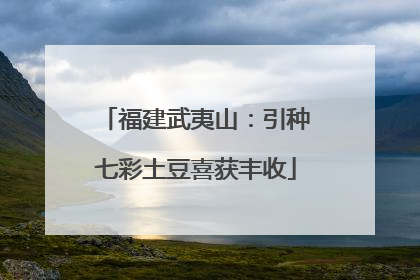 福建武夷山：引种七彩土豆喜获丰收